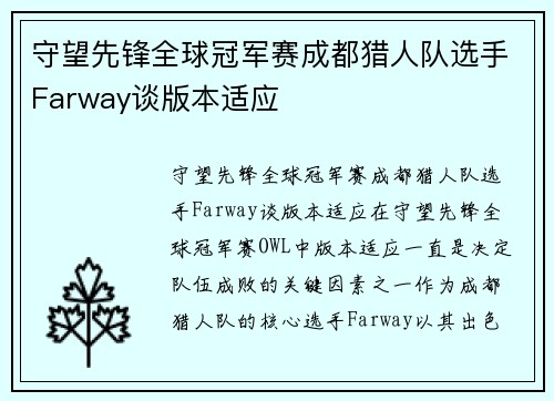 守望先锋全球冠军赛成都猎人队选手Farway谈版本适应