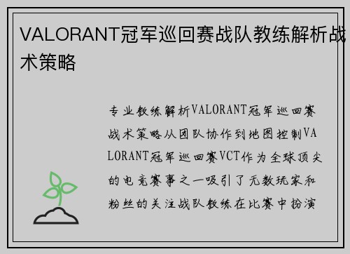 VALORANT冠军巡回赛战队教练解析战术策略
