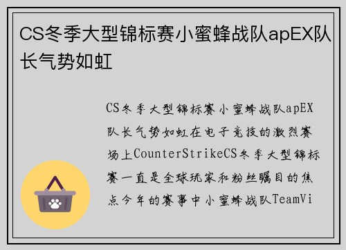 CS冬季大型锦标赛小蜜蜂战队apEX队长气势如虹