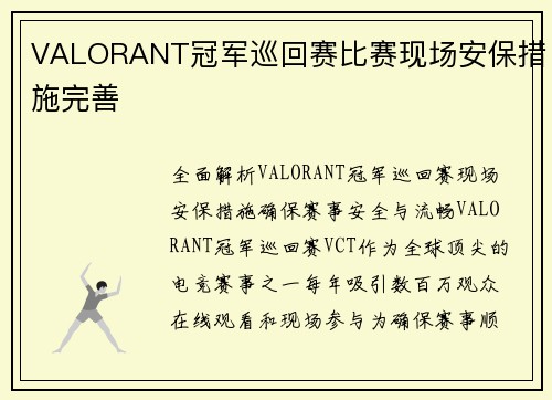 VALORANT冠军巡回赛比赛现场安保措施完善